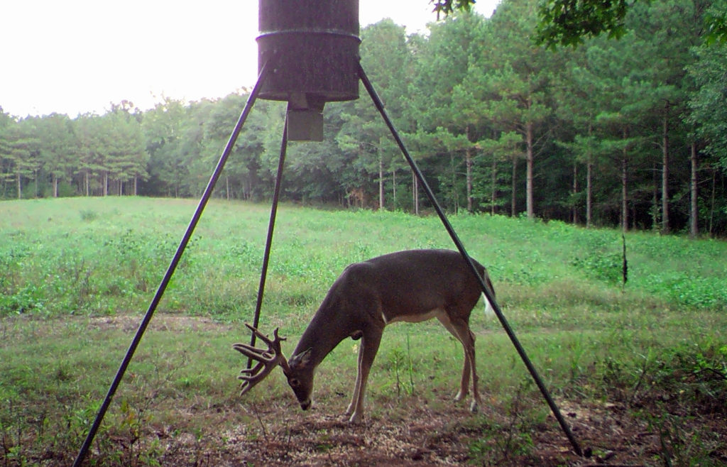 Outdoors Sumter County Record Journal